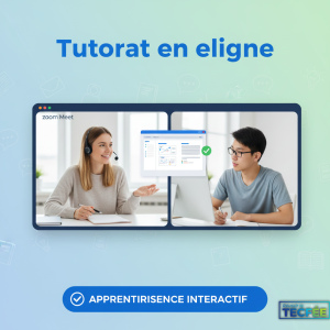 Tutorat en ligne